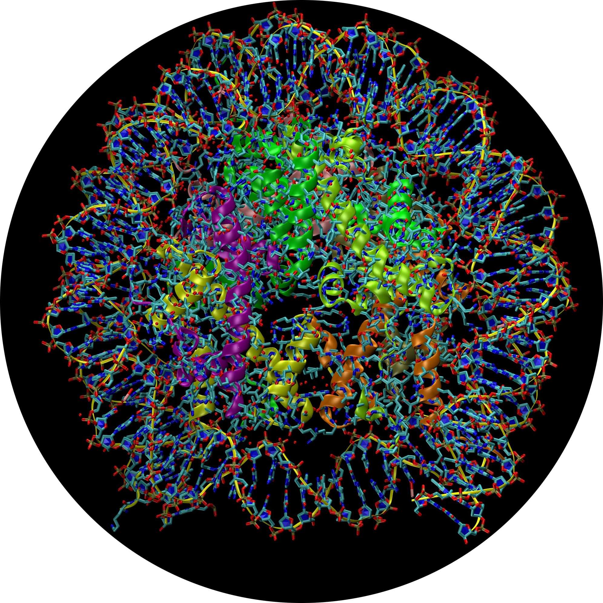 Epiginetics